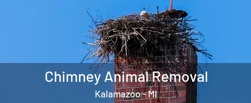  Chimney Animal Removal Kalamazoo - MI