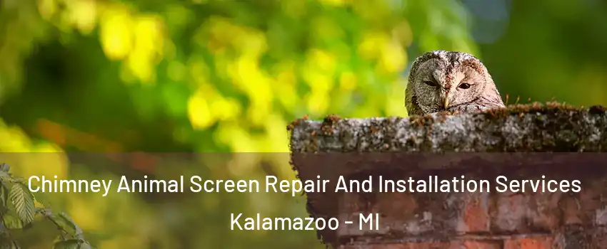  Chimney Animal Screen Repair And Installation Services Kalamazoo - MI