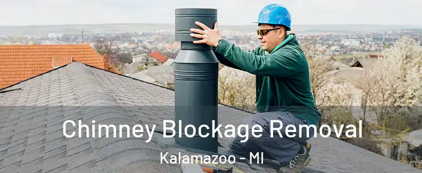  Chimney Blockage Removal Kalamazoo - MI