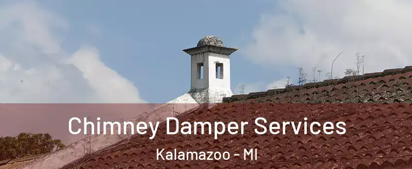  Chimney Damper Services Kalamazoo - MI