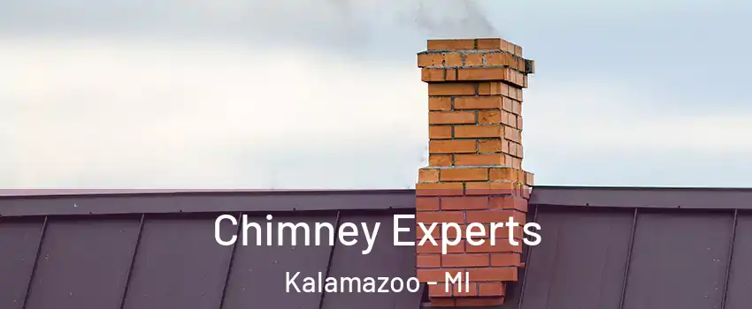  Chimney Experts Kalamazoo - MI