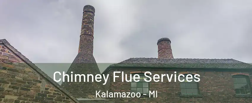  Chimney Flue Services Kalamazoo - MI