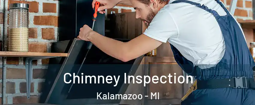  Chimney Inspection Kalamazoo - MI