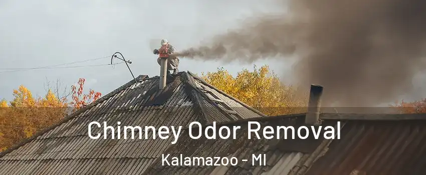  Chimney Odor Removal Kalamazoo - MI