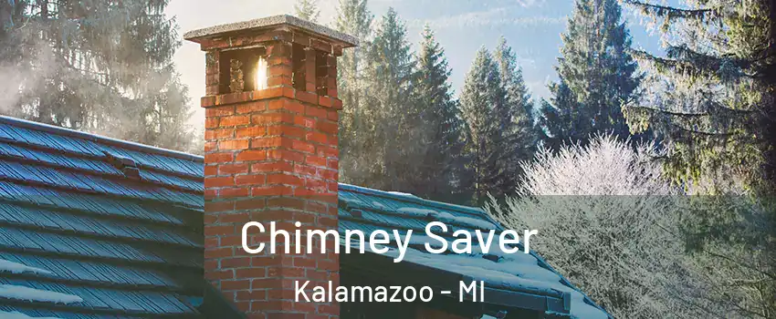  Chimney Saver Kalamazoo - MI