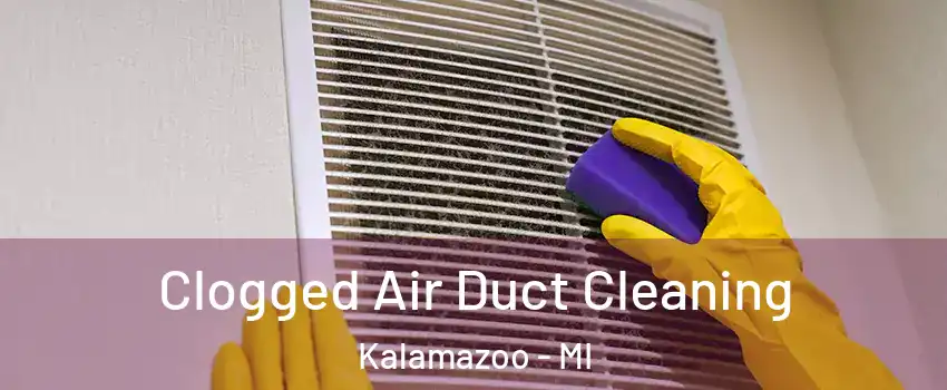  Clogged Air Duct Cleaning Kalamazoo - MI
