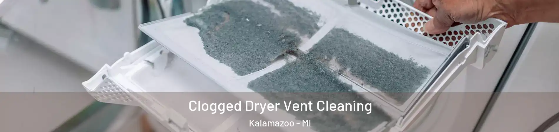  Clogged Dryer Vent Cleaning Kalamazoo - MI