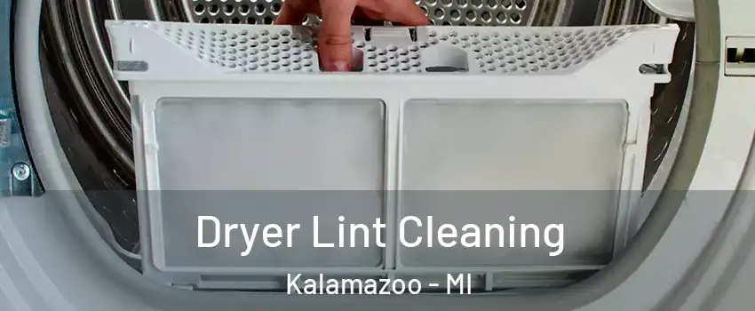  Dryer Lint Cleaning Kalamazoo - MI