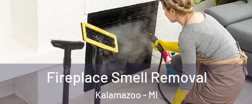  Fireplace Smell Removal Kalamazoo - MI