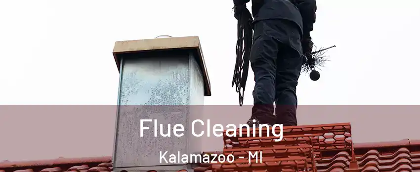  Flue Cleaning Kalamazoo - MI