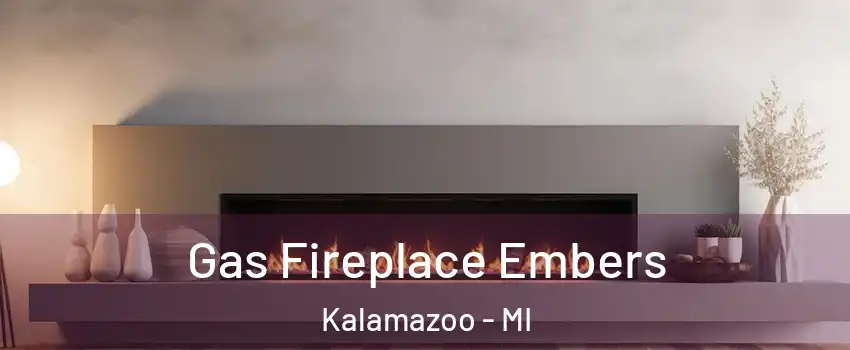  Gas Fireplace Embers Kalamazoo - MI