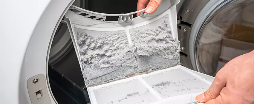 Best Dryer Lint Removal Company in Kalamazoo, Michigan