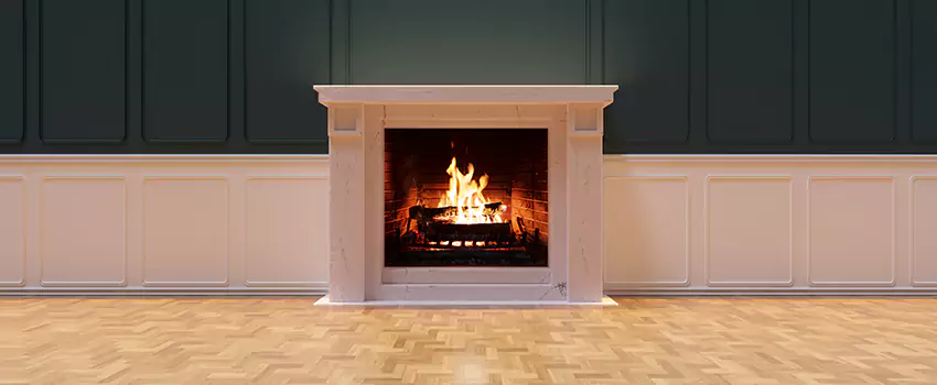Napoleon Electric Fireplaces Inspection Service in Kalamazoo, Michigan
