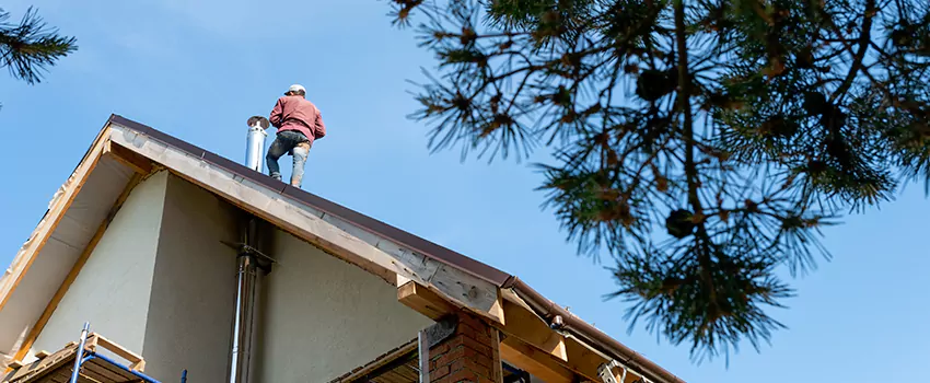 Birds Removal Contractors from Chimney in Kalamazoo, MI