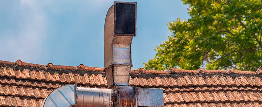 Chimney Blockage Removal in Kalamazoo, Michigan