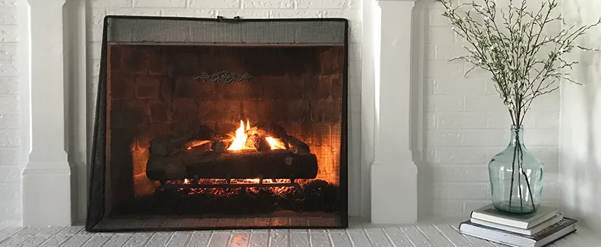 Cost-Effective Fireplace Mantel Inspection And Maintenance in Kalamazoo, MI
