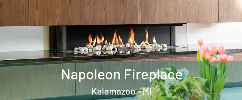  Napoleon Fireplace Kalamazoo - MI