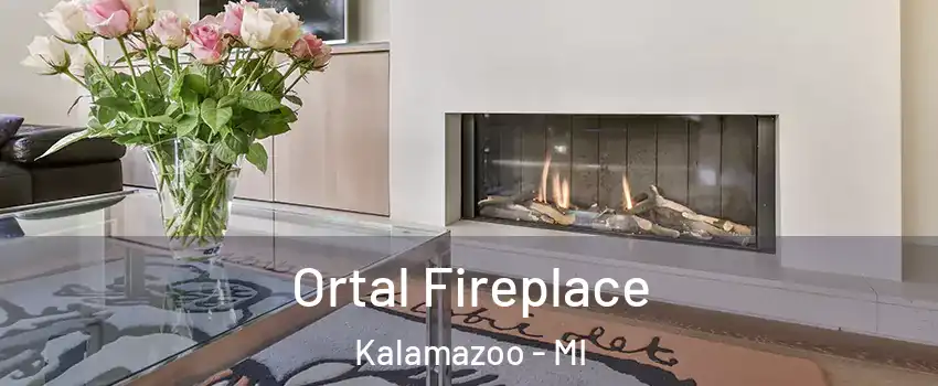  Ortal Fireplace Kalamazoo - MI