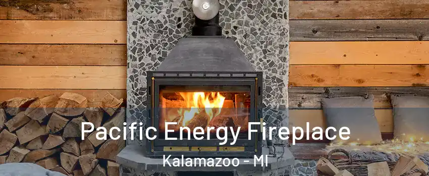  Pacific Energy Fireplace Kalamazoo - MI