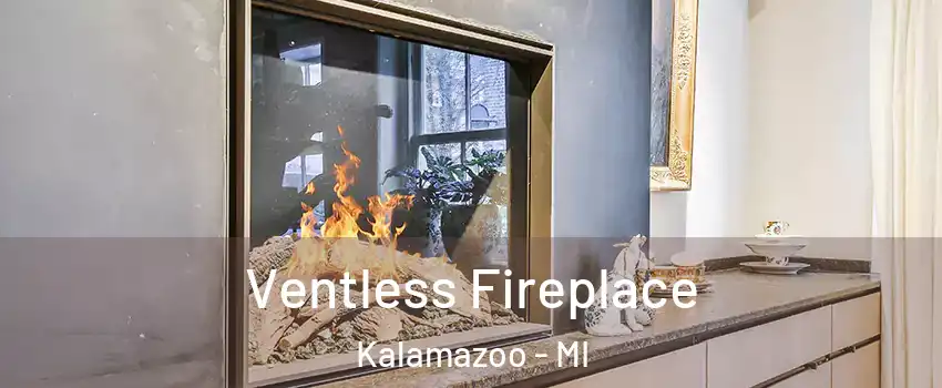  Ventless Fireplace Kalamazoo - MI